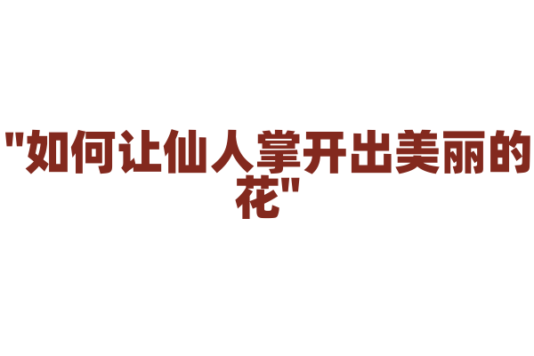 "如何让仙人掌开出美丽的花"